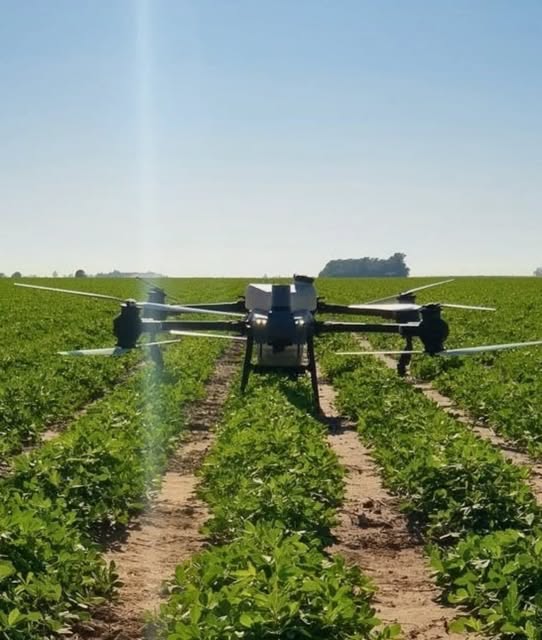 Dron Vantech pulverizando un lote de soja al amanecer